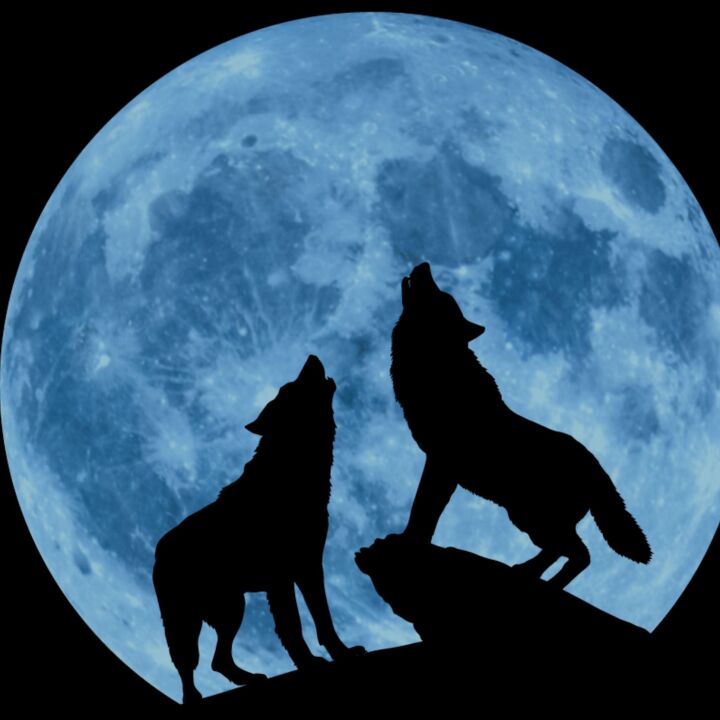 Creedence Clearwater ~Collective~